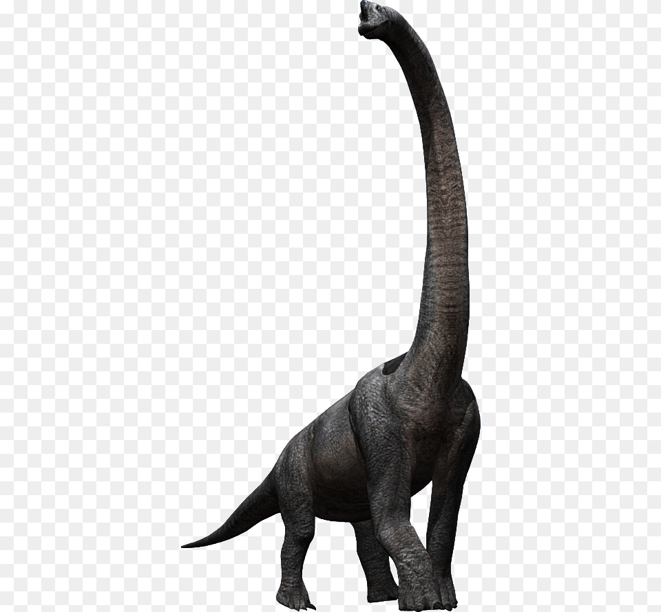 Image Library Stock Brachiosaurus Drawing Jurassic Jurassic Park Brachiosaurus, Animal, Dinosaur, Reptile, T-rex Png