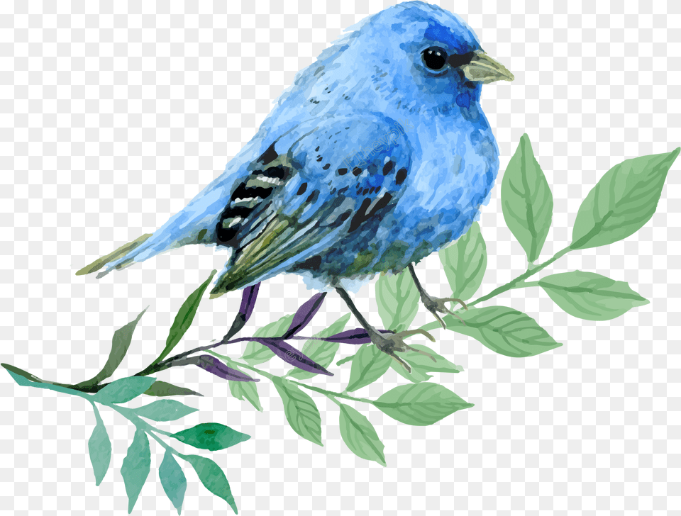Image Library Stock Hand Painted Cartoon Watercolor Bird, Animal, Jay, Bluebird, Blue Jay Free Png