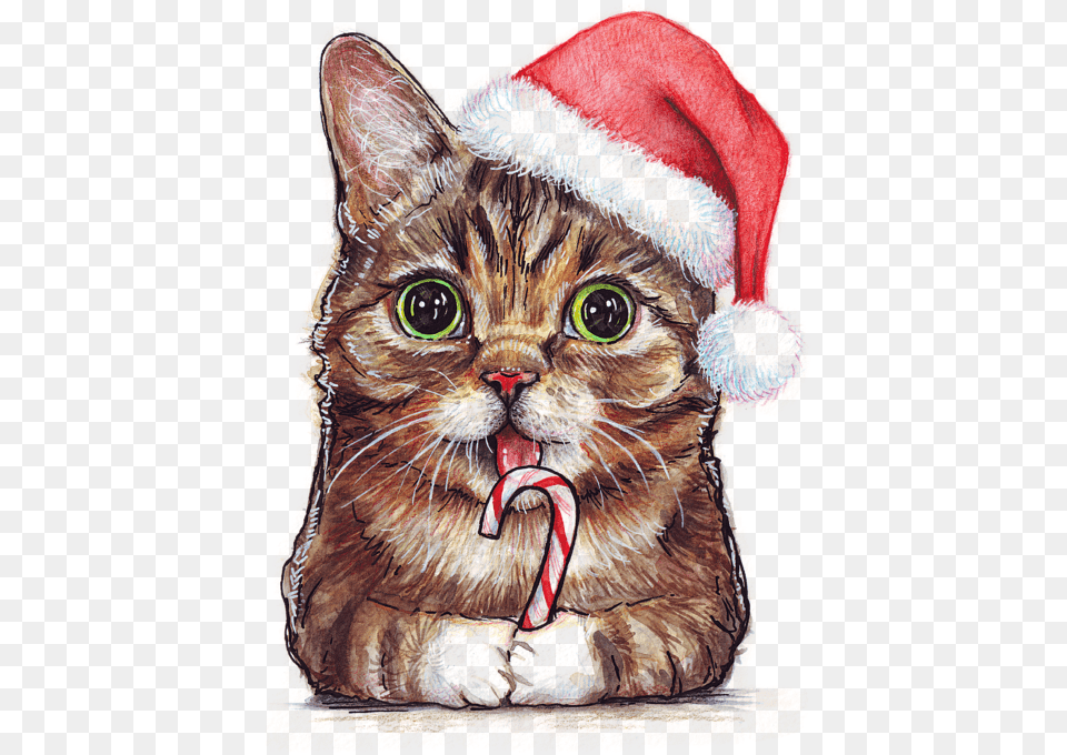 Image Lil Bub Cat With Christmas Hat Drawing High Christmas Image Cats, Animal, Pet, Clothing, Mammal Free Png Download