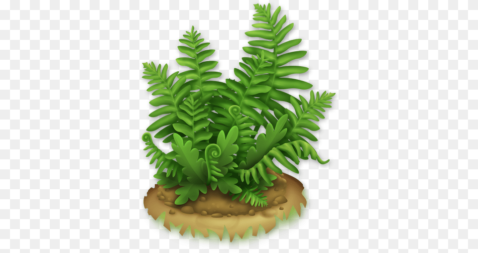 Image Lush Hay Day Cartoon Fern, Plant Png