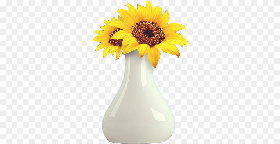 Image Matting Exercise The Collection U2014 Steemit Sunflower Vase, Plant, Flower, Jar, Pottery Free Png Download