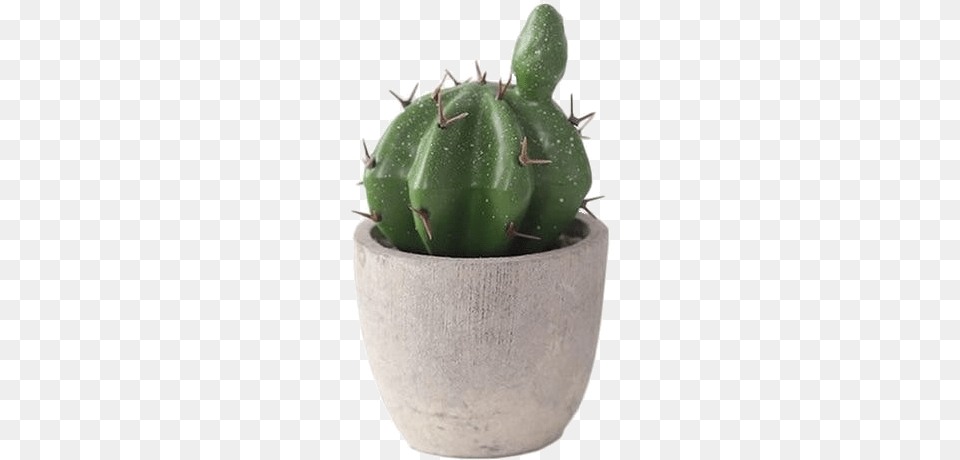 Image Mini Potted Cactus, Plant, Potted Plant, Animal, Reptile Free Png Download