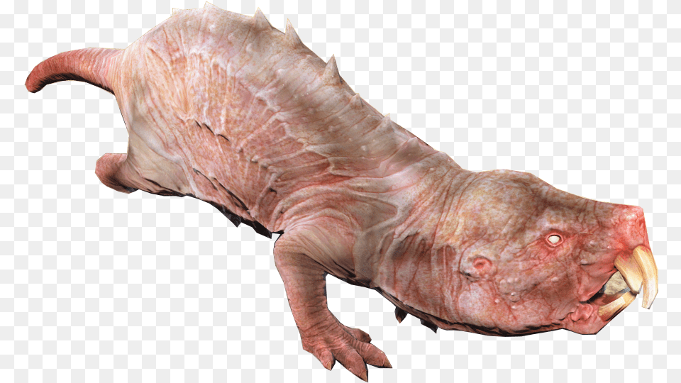 Image Mole Rat Fo4 Fallout Wiki Fandom Powered Mole Rat Fallout, Animal, Fish, Sea Life, Mammal Png