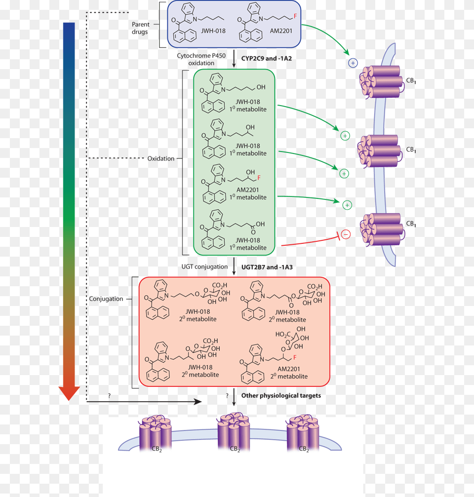 Not Available Diagram, Text Png Image