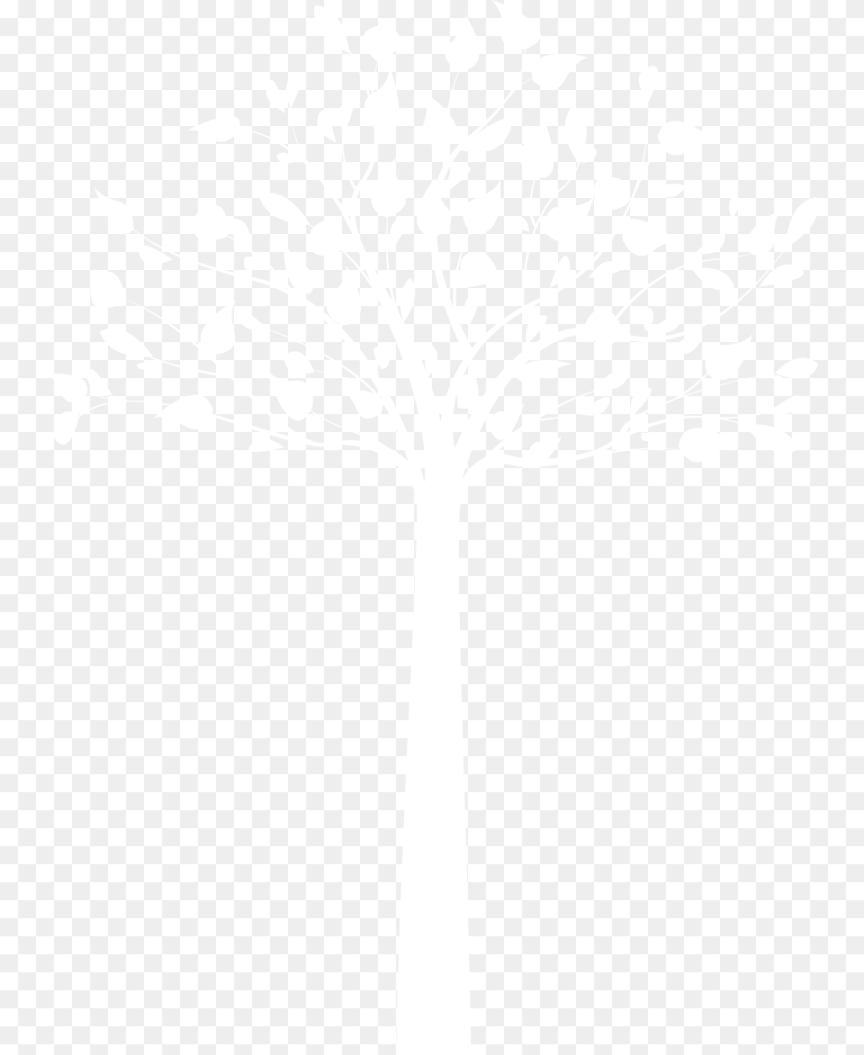 Image Not Found On Media Library White Tree, Cutlery Free Png