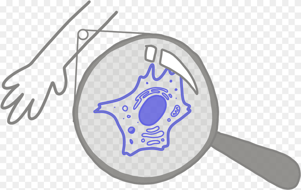 Image Of A Blue Somatic Cell Under A Magnifying Glass Somatic Cells, Cutlery, Fork Free Transparent Png