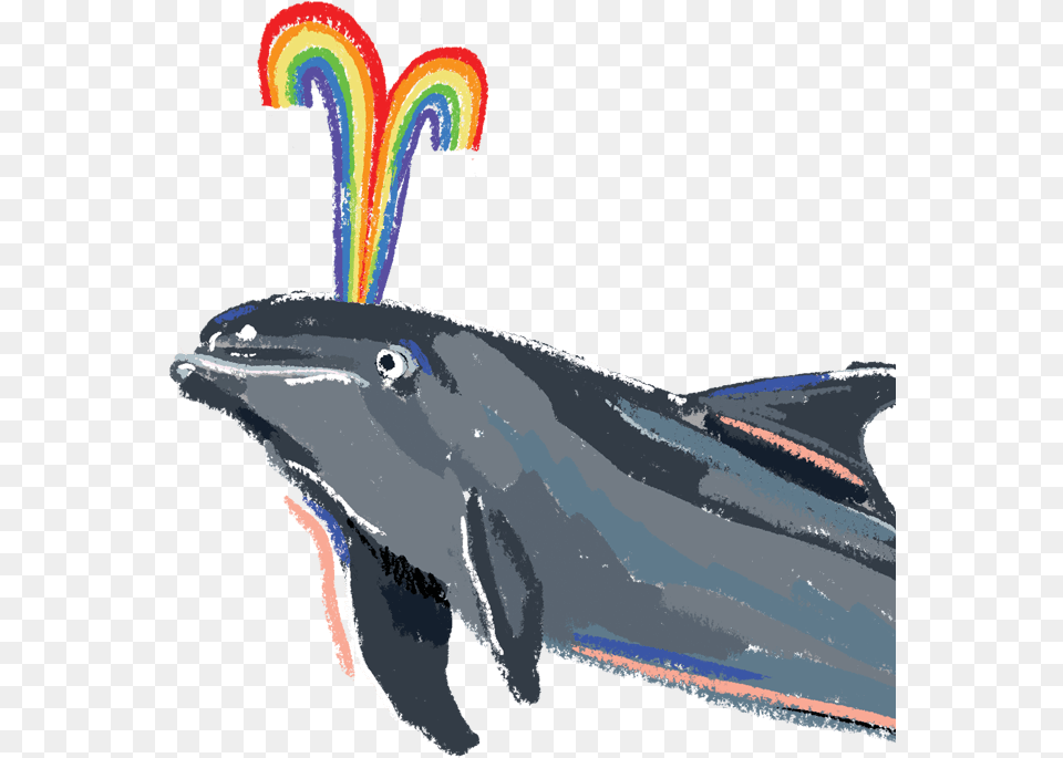 Of A Dolphin Humpback Whale, Animal, Mammal, Sea Life, Fish Png Image