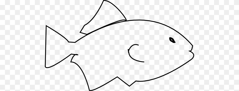 Image Of A Fish, Animal, Sea Life Free Transparent Png