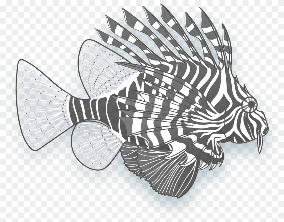 Image Of A Lionfish Lionfish, Animal, Sea Life, Fish Png