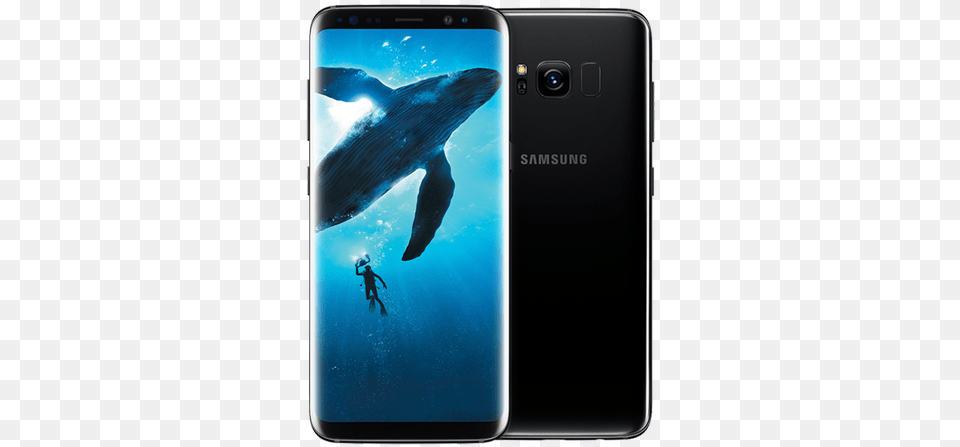 Image Of A Samsung Galaxy S8 Samsung S8 Plus Price In India, Electronics, Phone, Person, Mobile Phone Free Png Download