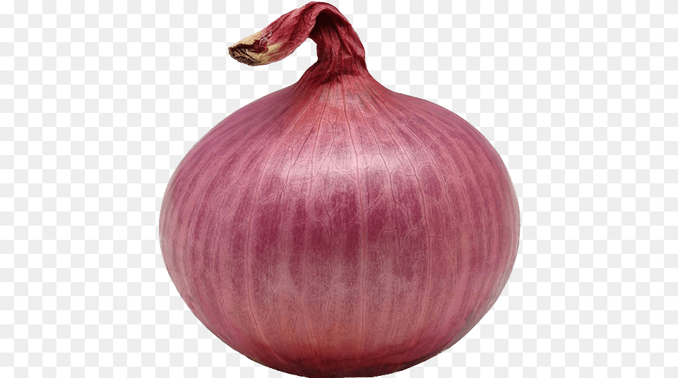 Image Of An Onion, Food, Produce, Vegetable, Plant Png