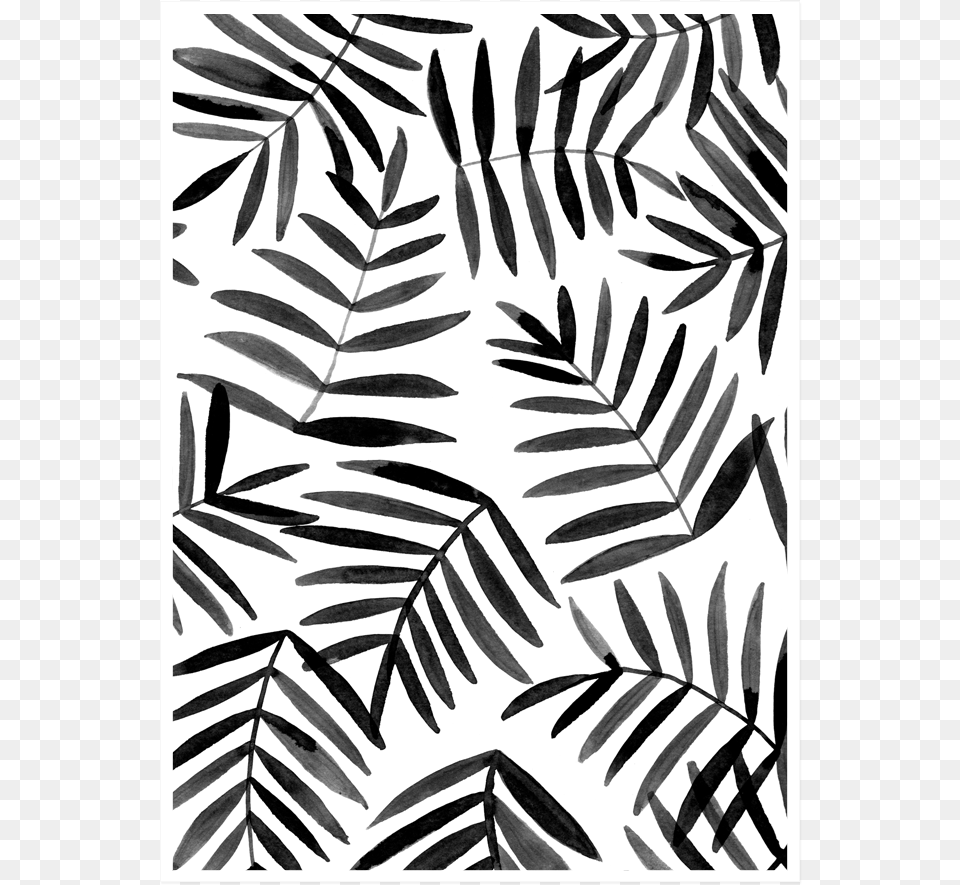 Image Of Black Palm Black And White Background Design, Pattern, Plant, Art, Fern Free Transparent Png