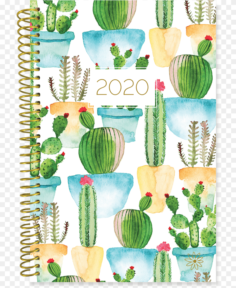 Image Of Cacti Cover Design 2018 19 Agenda Book, Plant, Cactus, Food, Fruit Free Png Download