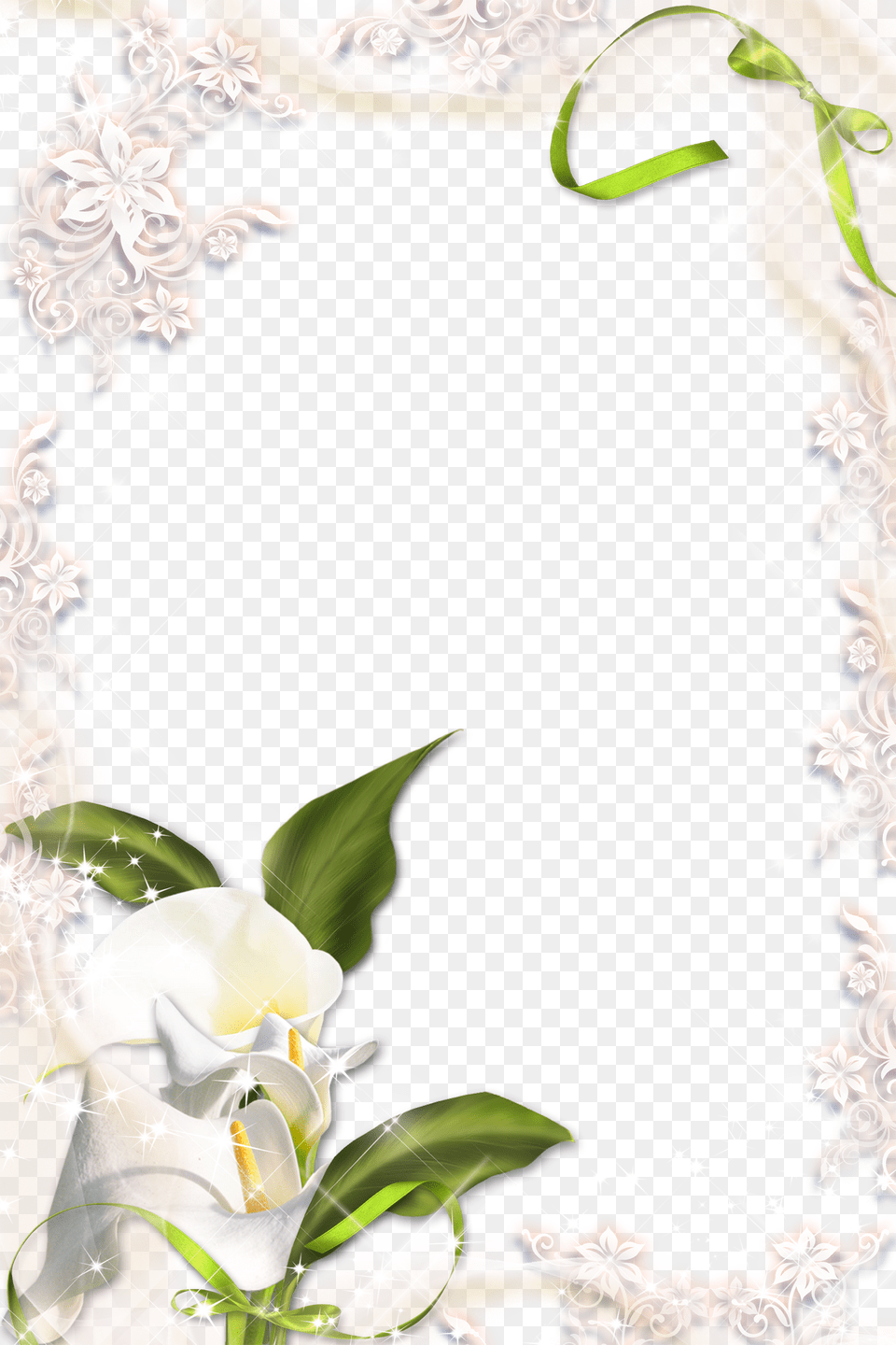 Image Of Calla Lily Clipart White Calla Lily Border, Pattern, Graphics, Flower, Floral Design Free Png Download