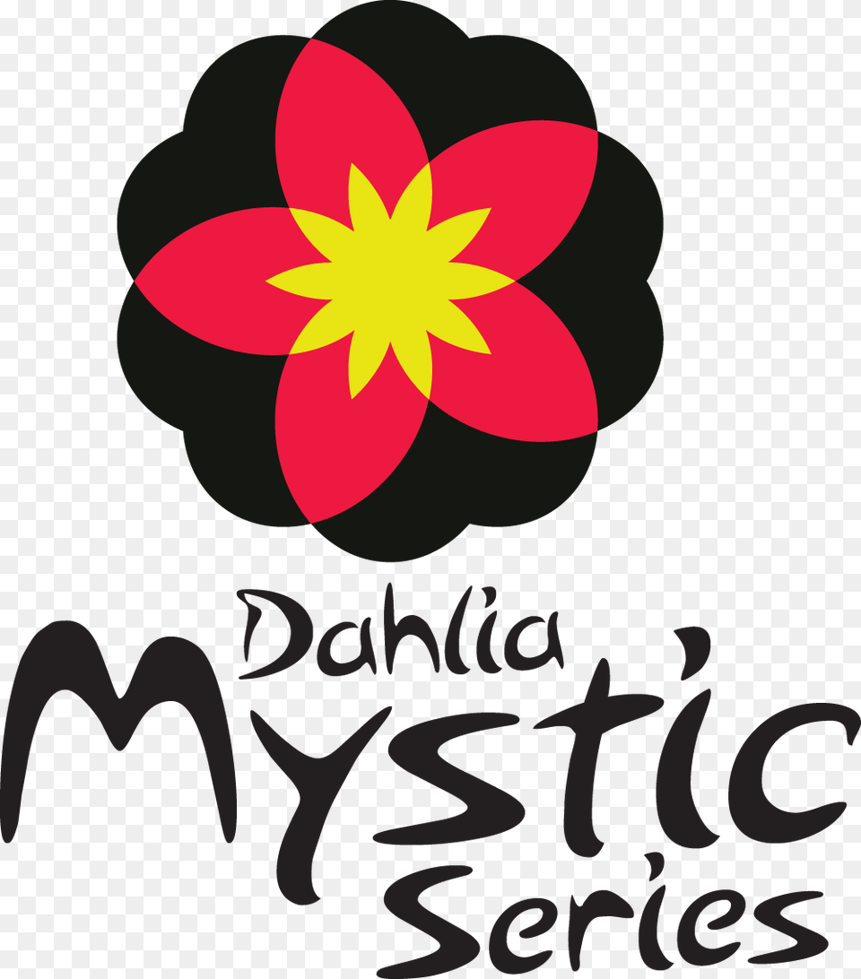 Image Of Dahlia Mystic Illusion, Logo, Plant, Flower, Weapon Free Png