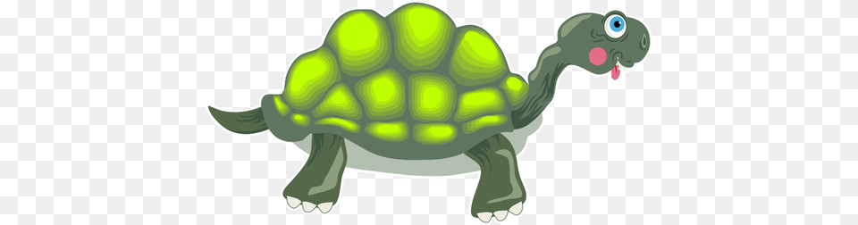 Image Of Florescent Green Tortoise, Animal, Reptile, Sea Life, Turtle Png