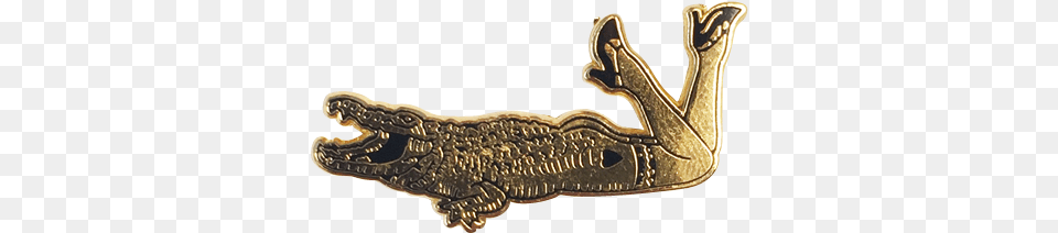 Image Of Gator Lady Pin, Bronze, Accessories Png