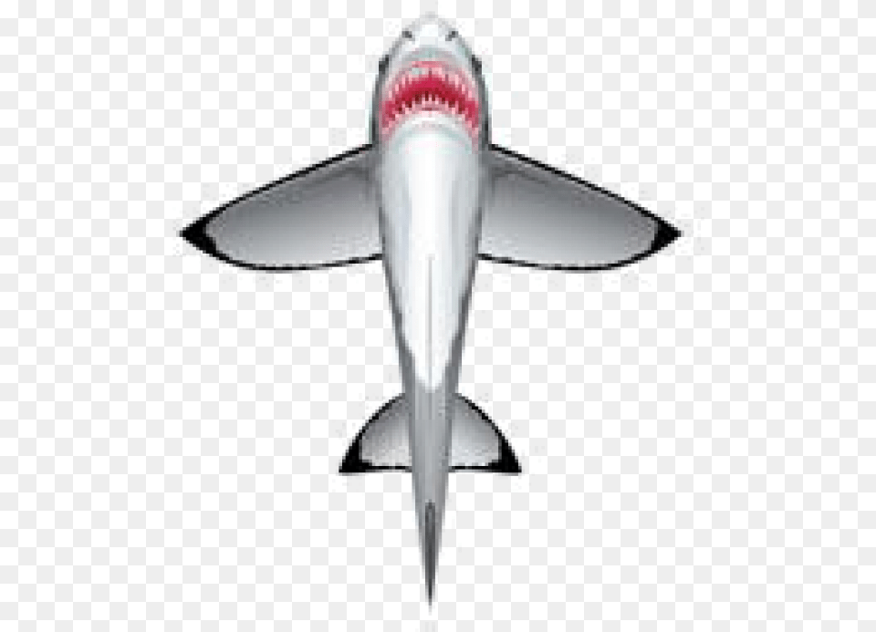 Image Of Great White Shark Kite Kite, Animal, Fish, Sea Life, Cross Free Transparent Png