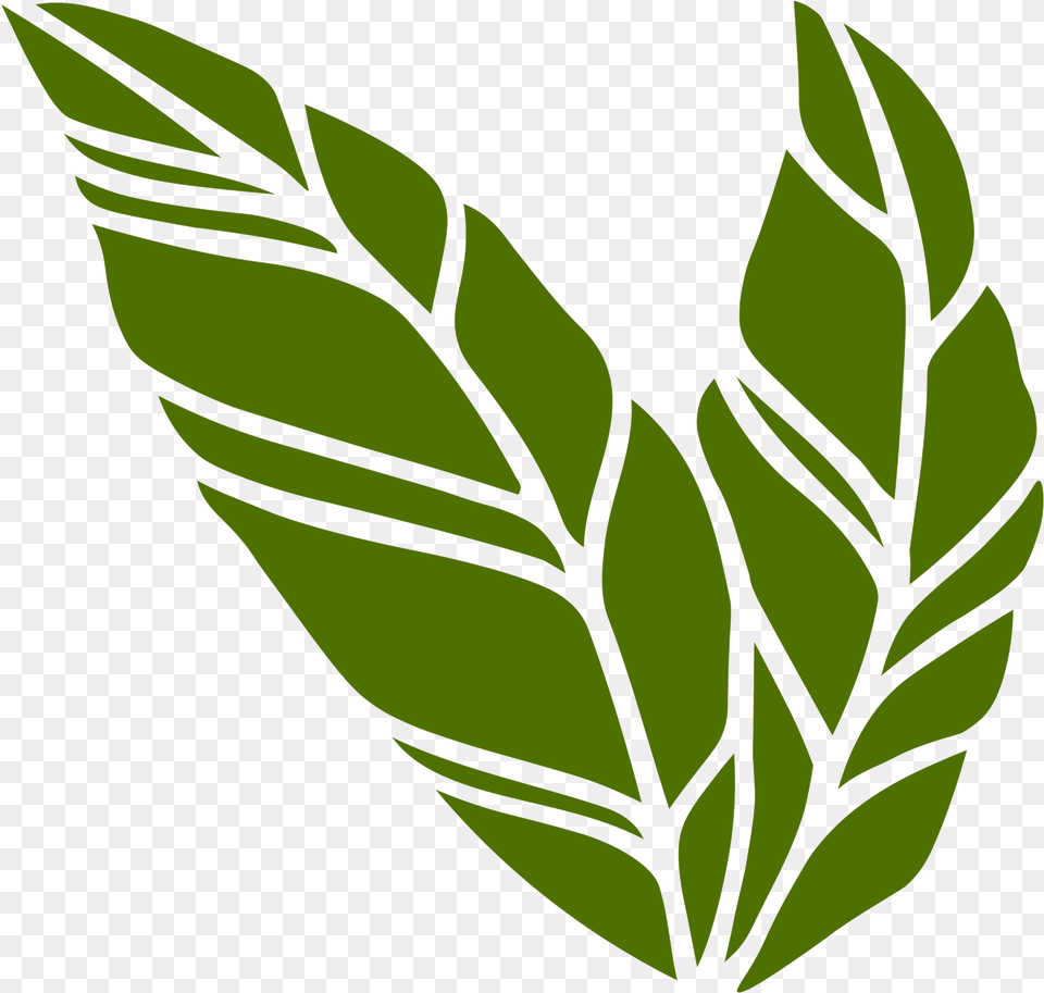 Image Of Green Banana Leaf Sticker Illustration, Plant, Herbs, Annonaceae, Tree Free Transparent Png
