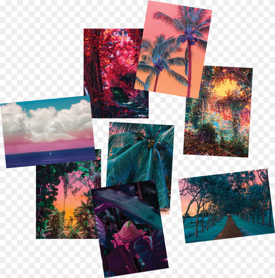 Image Of Hawaii Postcards Set Floral Design Free Png Download