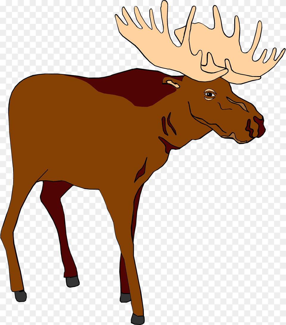 Image Of Moose Moose Clipart, Animal, Mammal, Wildlife, Deer Free Transparent Png