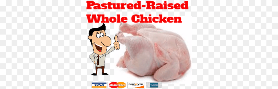 Of Pastured Raised All Natural Chickens For Sale Chicken, Diaper, Face, Head, Person Png Image