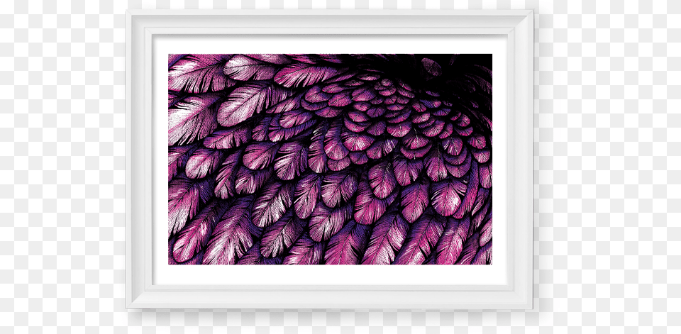 Image Of Pink Blue Feathers Picture Frame, Pattern, Purple, Accessories, Art Png