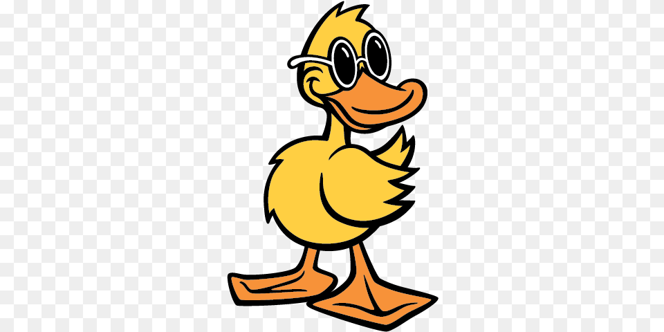 Image Of Quackals The Quick Quack Car Wash Duck Mascot Duck, Animal, Beak, Bird, Baby Png