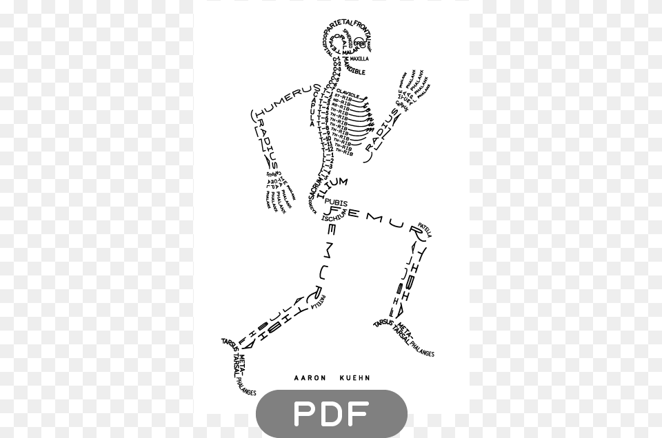 Of Skeleton Typogram Cool Pictures Of The Skeletal System, Adult, Male, Man, Person Png Image