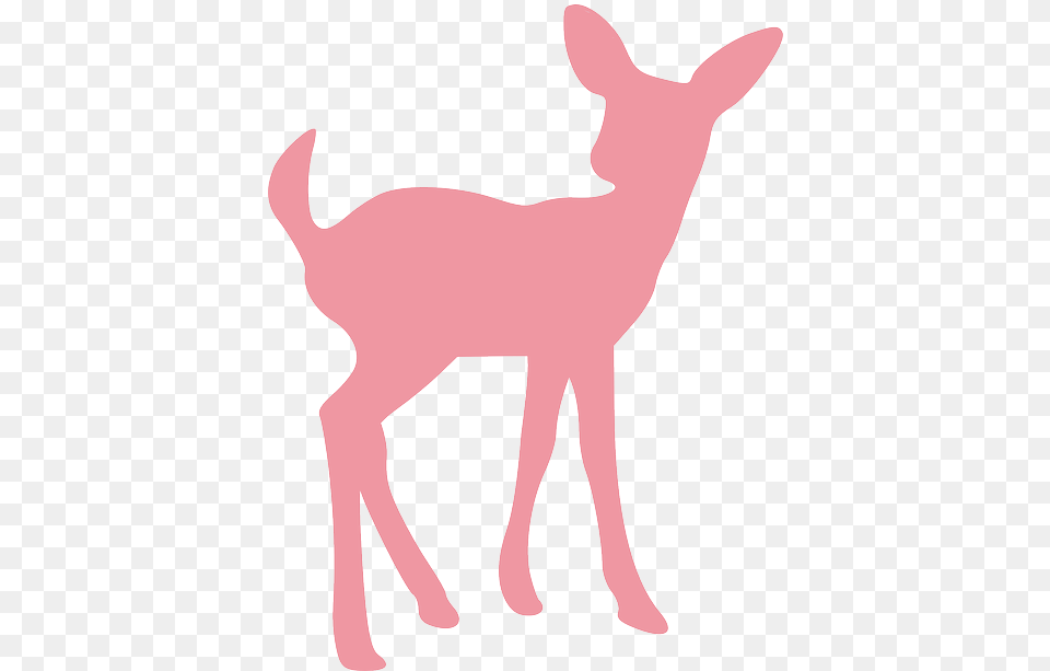 Image On Pixabay Baby Deer Silhouette, Animal, Mammal, Wildlife, Kangaroo Free Png Download