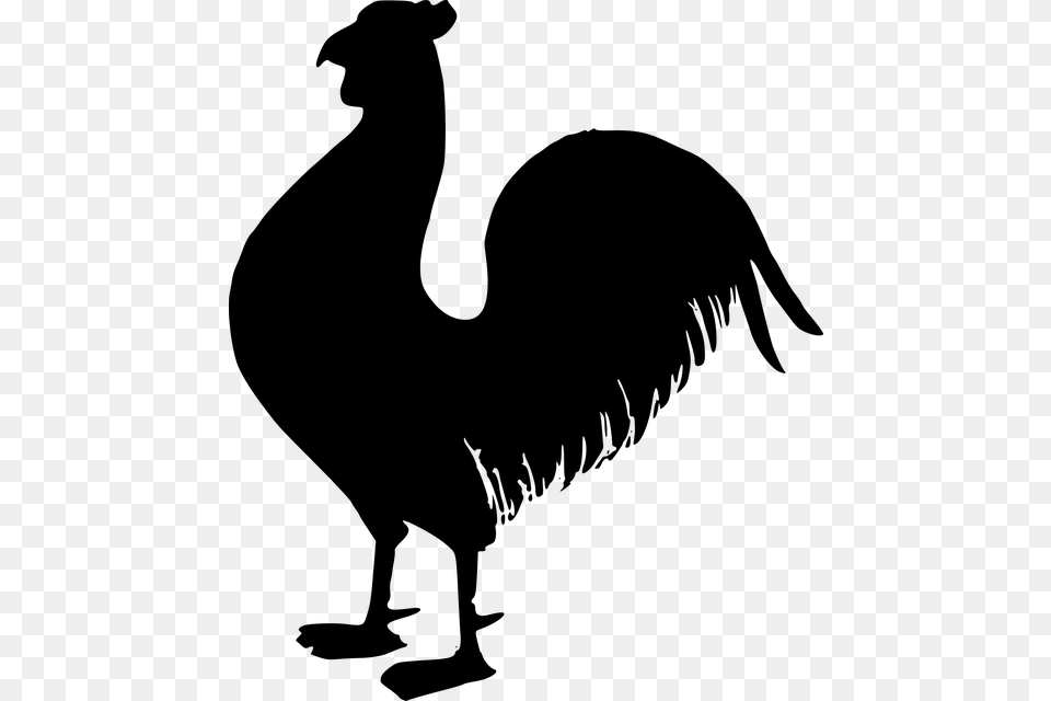 On Pixabay Silueta De Un Gallo, Gray Png Image