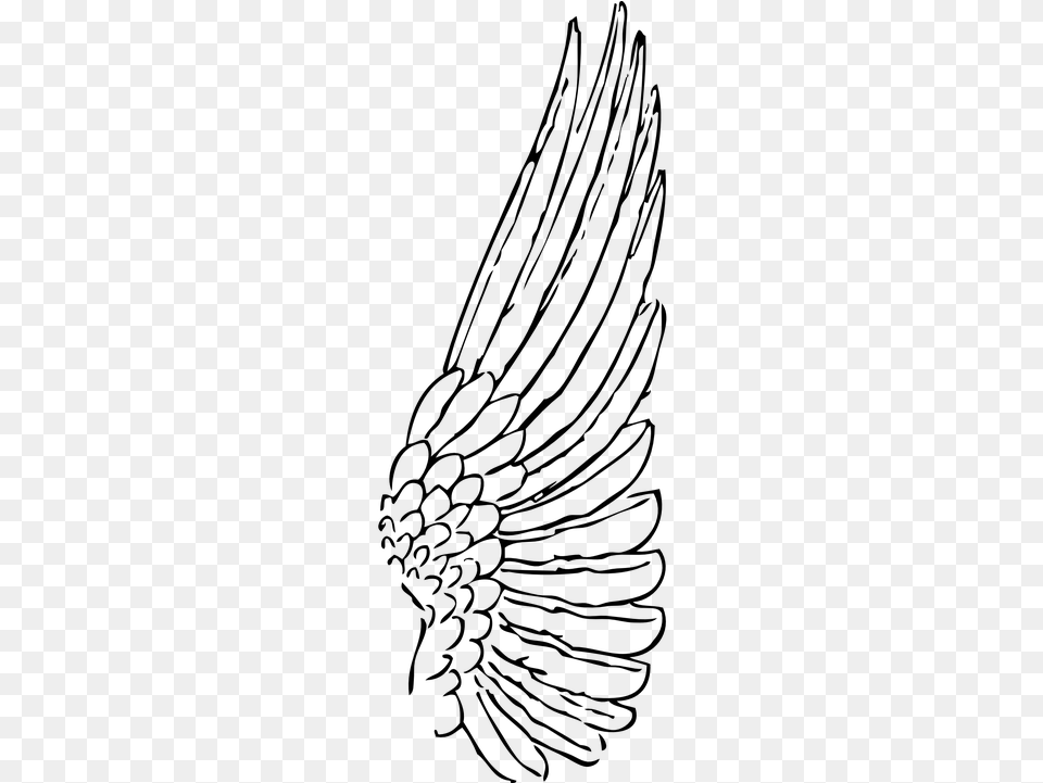 On Pixabay Wing Clipart, Gray Png Image