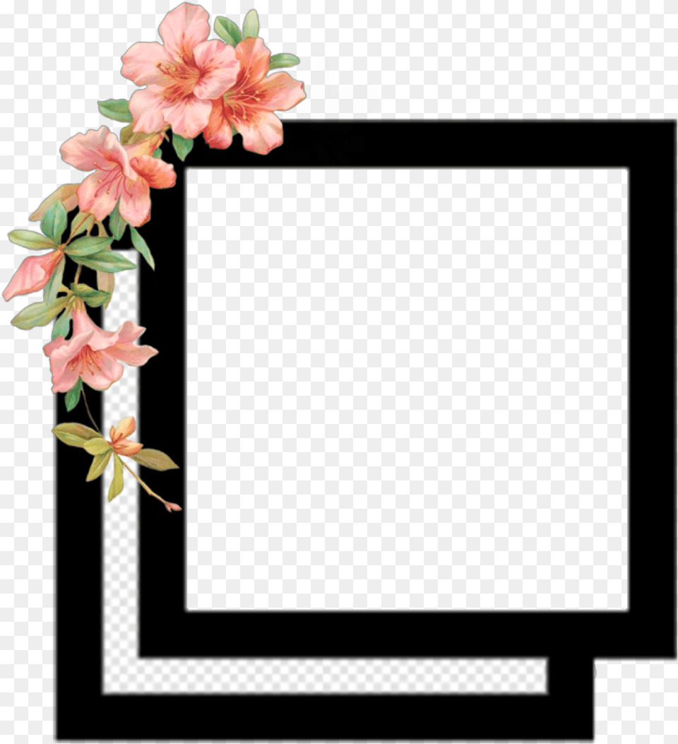 Image Photography Desktop Wallpaper Video Editing Square Overlays, Flower, Plant, Petal, Flower Arrangement Png