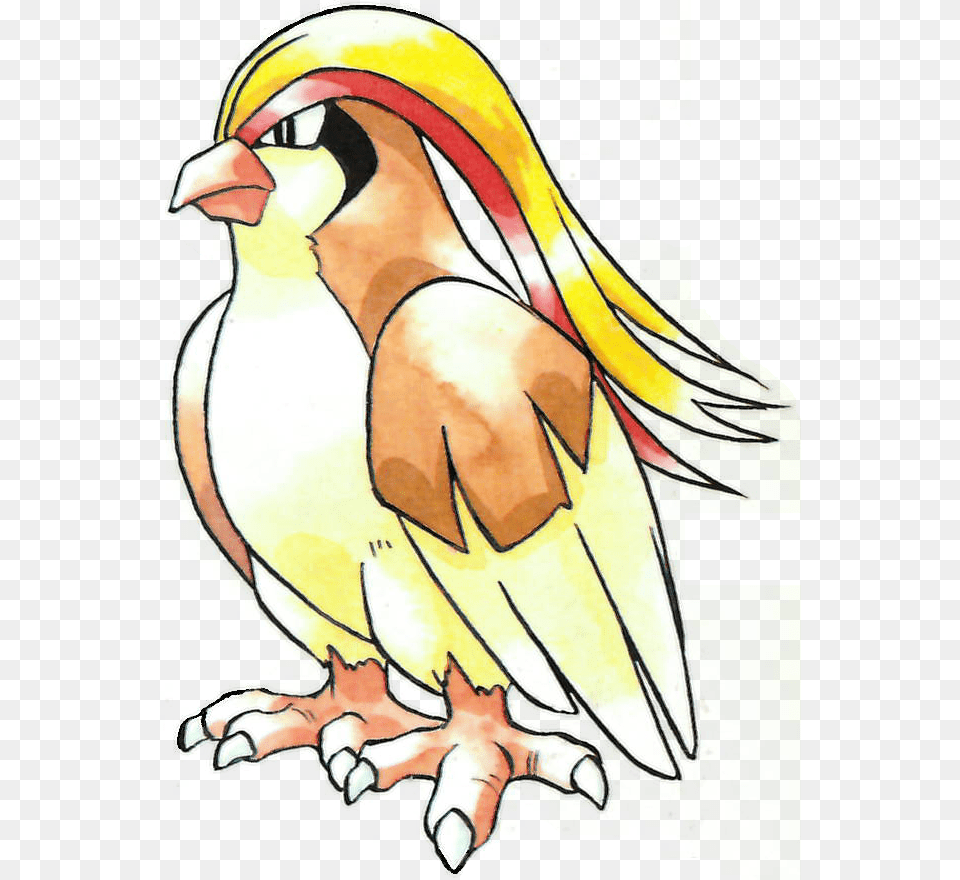 Image Pidgeot Pokemon, Animal, Beak, Bird, Person Free Transparent Png