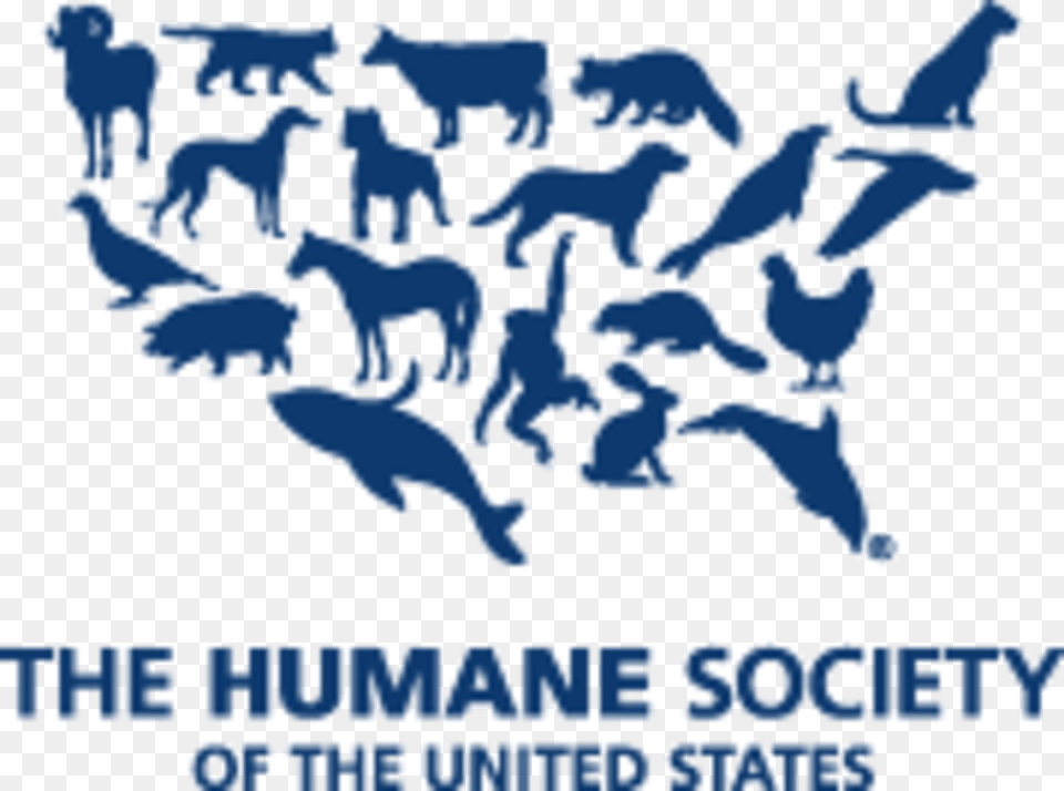 Image Placeholder Title Humane Society Of Us, Nature, Outdoors, Ice, City Free Png