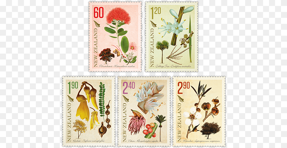 Image Plants Of New Zealand Botanical Drawing, Postage Stamp, Plant Png