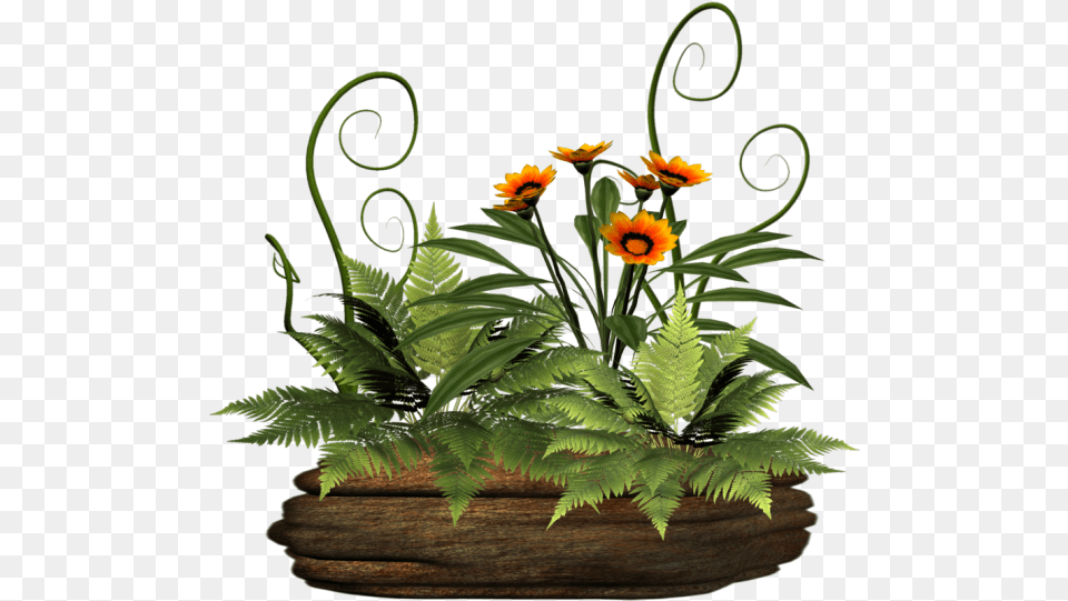 Image Portable Network Graphics Plants Gif Clip Art, Flower, Flower Arrangement, Plant, Fern Free Png