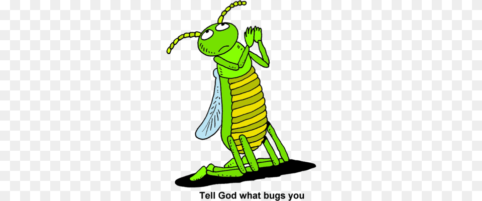 Image Praying Bug Prayer Clip Art, Animal, Grasshopper, Insect, Invertebrate Png