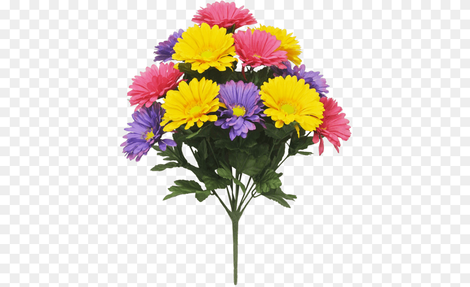 Purple, Daisy, Flower, Flower Arrangement, Flower Bouquet Png Image