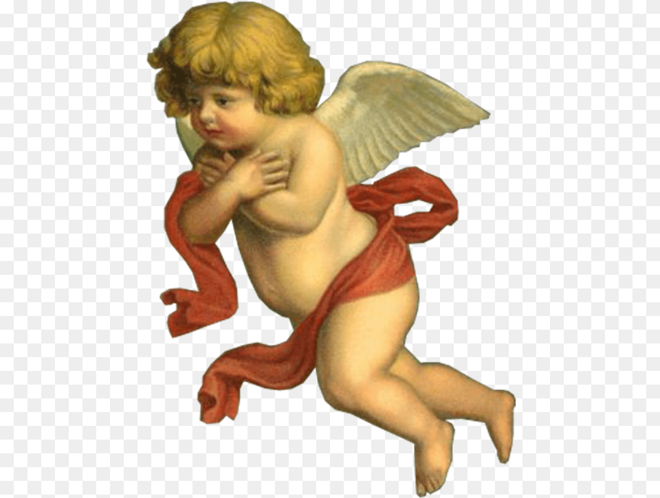 Result For Angels Cherubs Cherub Angel, Baby, Person, Face, Head Png Image