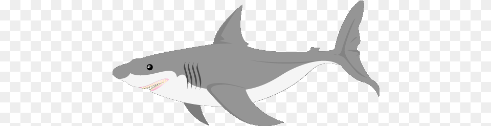 Image Result For Animated Gray Fish Gif Animated Background Shark Gif, Animal, Sea Life Free Transparent Png
