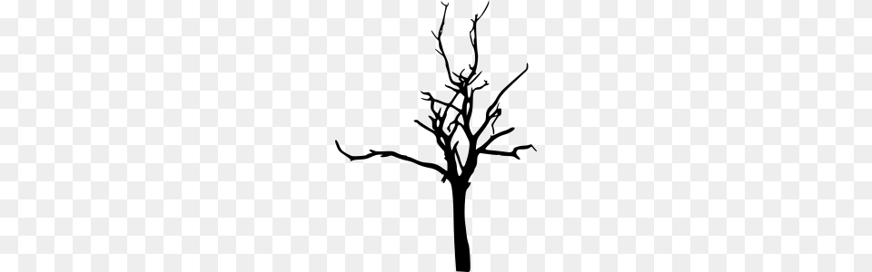 Image Result For Bare Tree Mmsins Bare Tree, Gray Free Png Download
