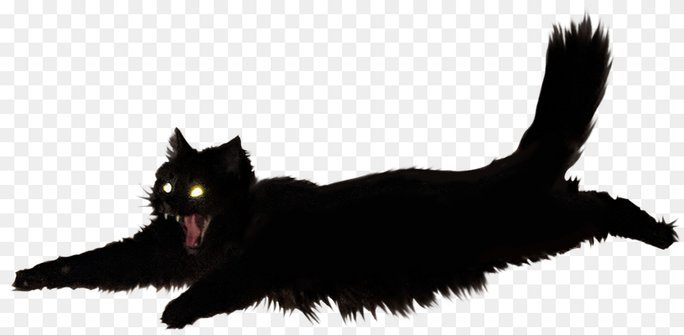 Image Result For Black Cat Meme Karai, Animal, Black Cat, Mammal, Pet Png