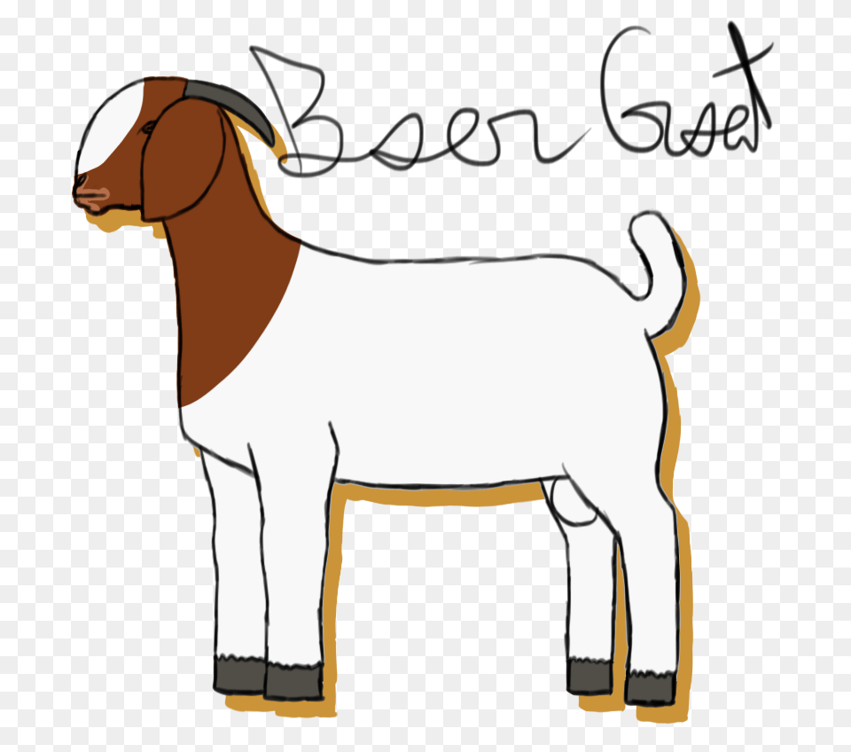 Image Result For Boer Goat Face Birthday Parties, Livestock, Animal, Mammal, Cattle Free Transparent Png