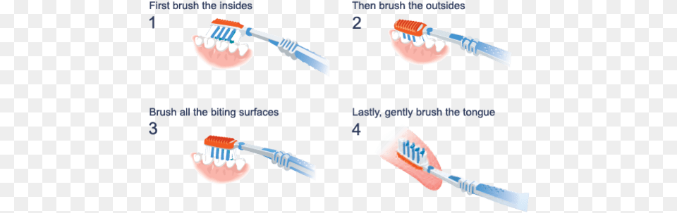 Image Result For Brush Teeth Correctly Clean Your Teeth Properly, Device, Tool, Toothbrush Free Transparent Png