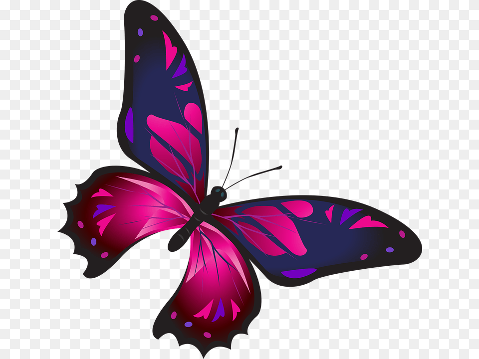 Result For Flower Butterflies Birds Borders Line, Art, Floral Design, Graphics, Pattern Png Image