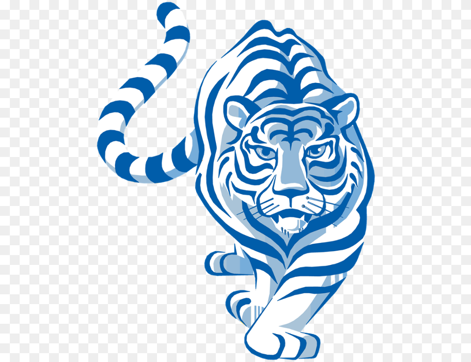 Image Result For Lincoln Mo Blue Tigers Walking Tiger Clipart, Baby, Person, Animal, Wildlife Free Png