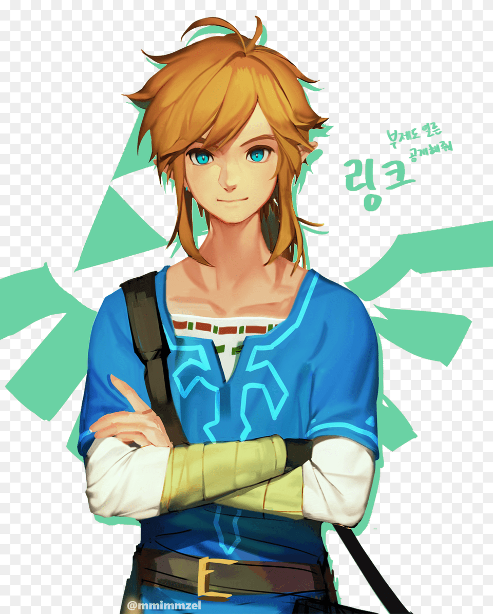 Result For Link Botw Legend Of Zelda Legend, Publication, Book, Comics, Adult Png Image