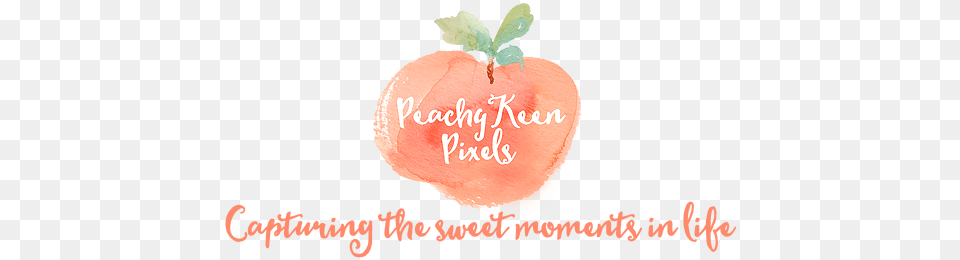 Image Result For Peachy Keen Logos Photography, Birthday Cake, Cake, Cream, Dessert Free Transparent Png