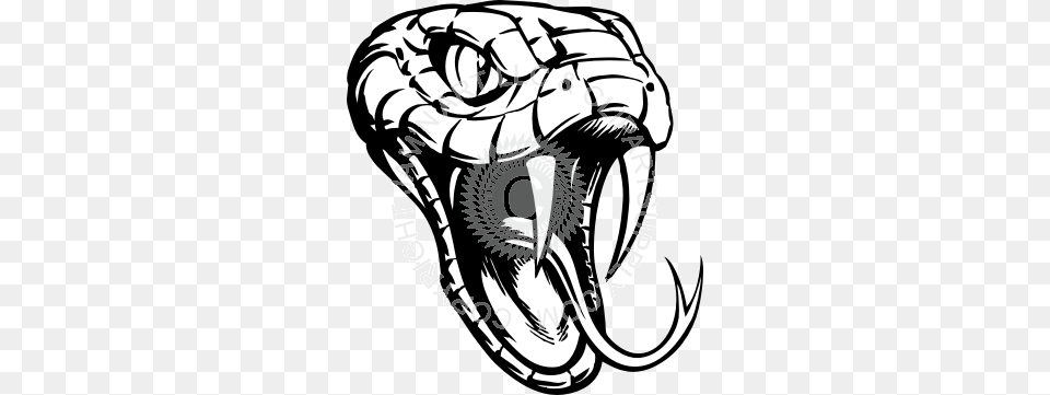 Result For Snake Head Sidewinders Snake, Person, Electronics, Hardware, Animal Png Image